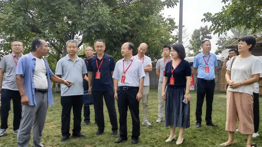 金台区政协开展庭院经济发展视察调研活动